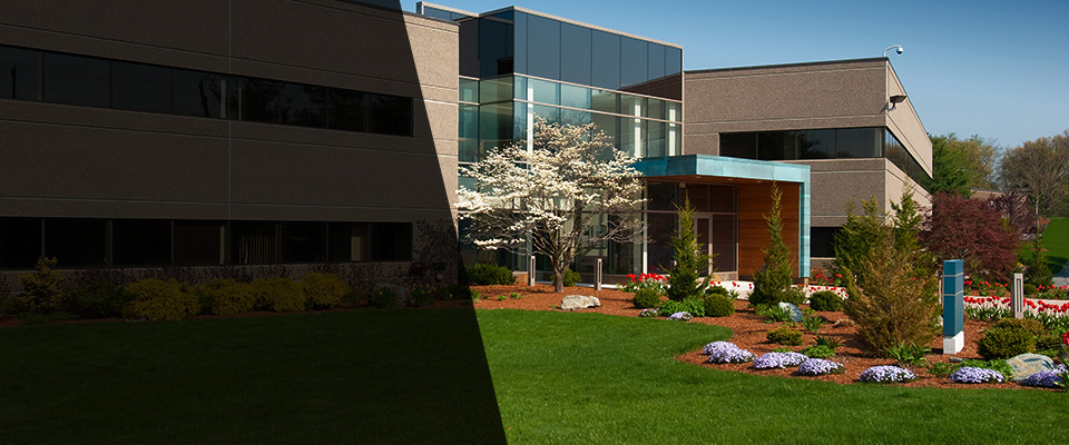 Glen Ridge Landscapers