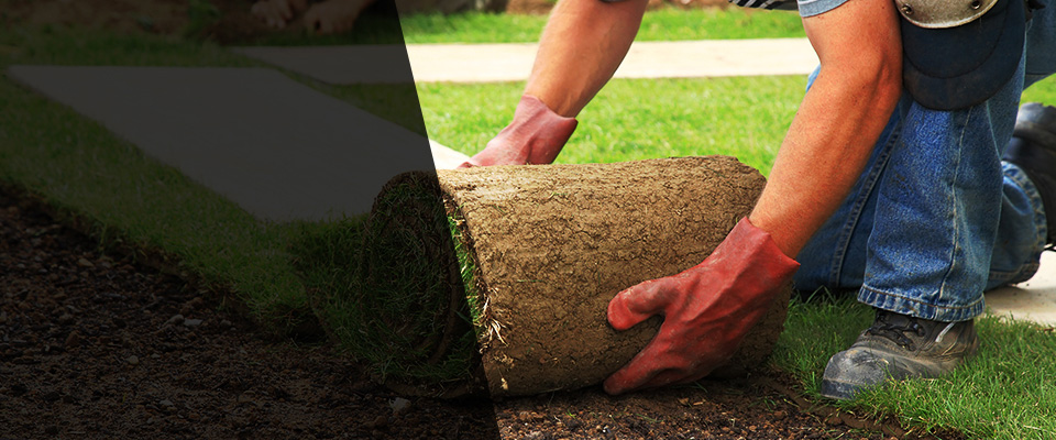 Glen Ridge Landscapers